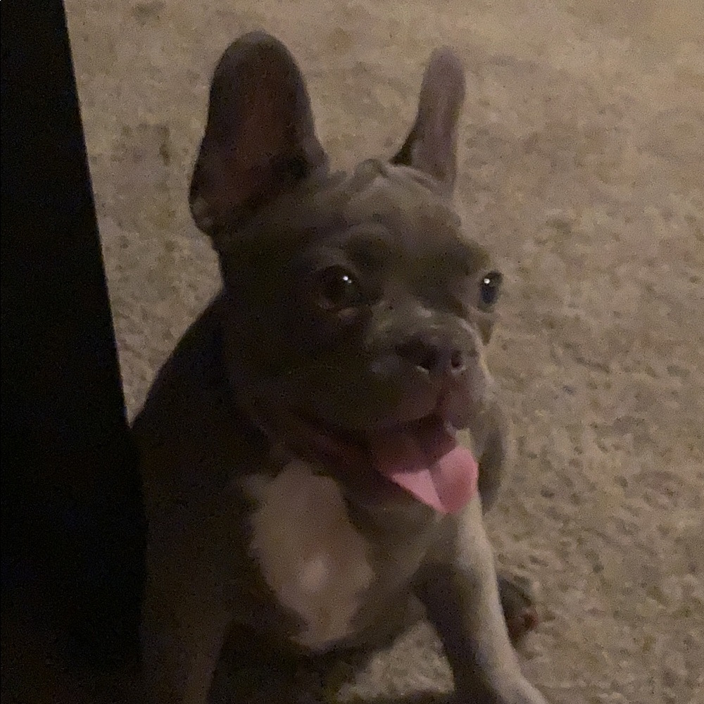 Meet your Posher, Dayjuan